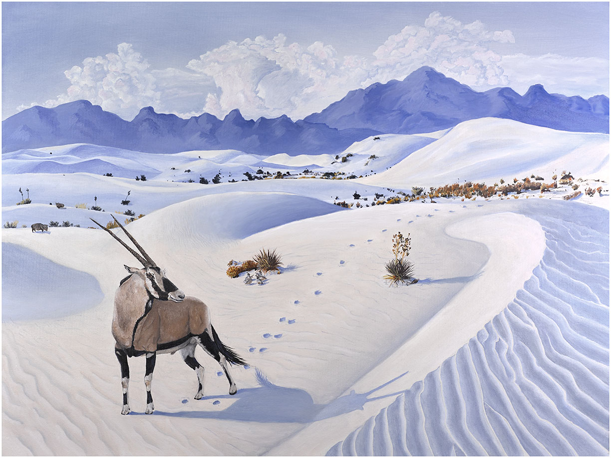 Oryx in the Missile Range