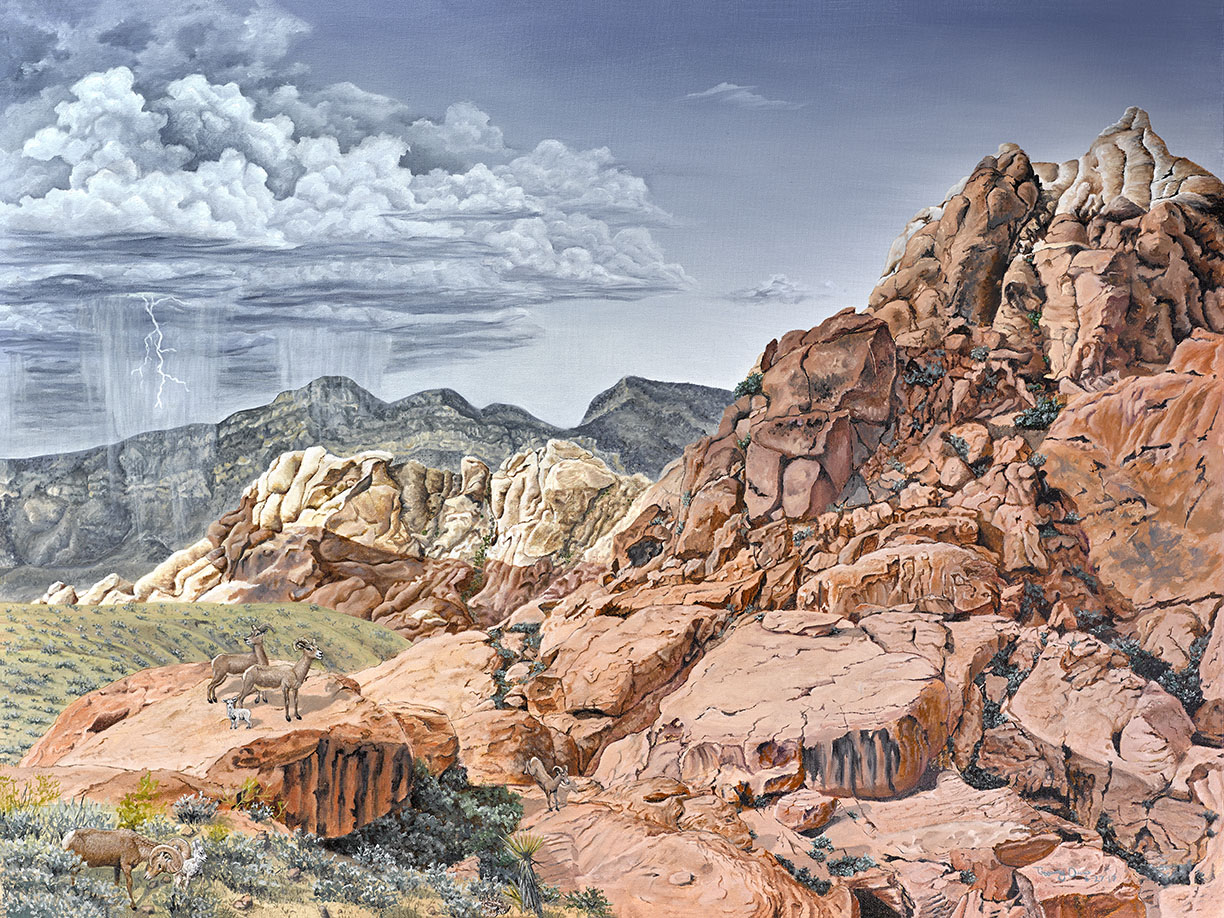 Flourish in the Desert