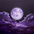 Violet Moon