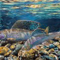 Gems of the&nbsp;River